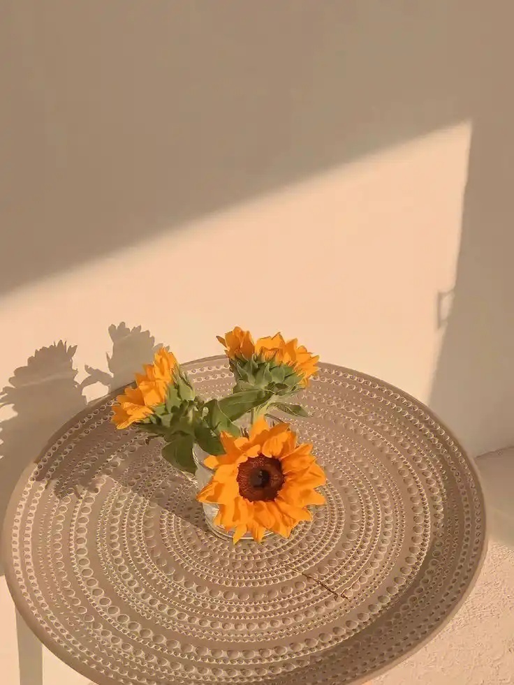 广州站姐快餐论坛鸿蒙版V24.36.76下载